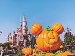 -上海迪士尼度假区