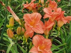 -汉长安城未央宫国家考古遗址公园