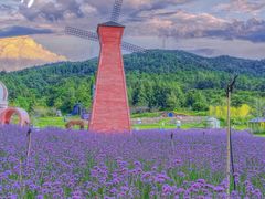 -名花谷生态庄园