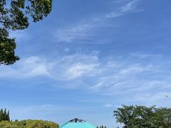-上海滨江森林公园