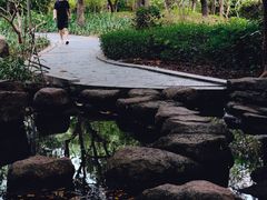 -燕晗山郊野公园