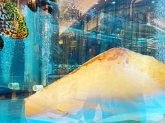 -金翠皇宫粤菜·点心·海鲜(科技园店)