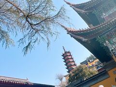 -金山公园
