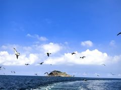 -海驴岛(荣成市)