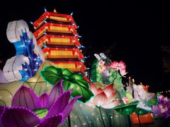 -青岛方特梦幻王国