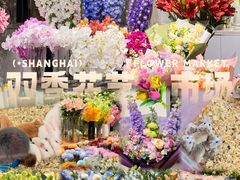 -双季花艺园艺市场(浦东店)