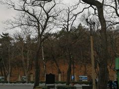 -青岛德国总督楼旧址博物馆