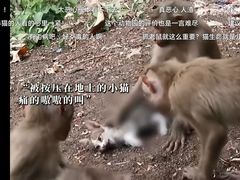 -昆明动物园