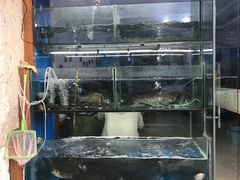 -浔味·山屿湖·正宗淳牌全鱼宴老字号