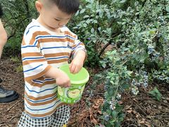 -金谷域澳洲庄园