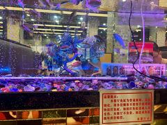 -新辉港式茶餐厅(北栅店)