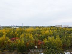 -天通西苑三区