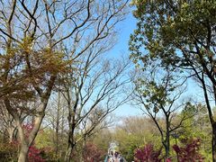 -上海吴淞炮台湾国家湿地公园