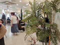 -共舞时光猫咖·狗咖(新街口店)