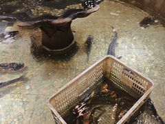 -万里闯关东铁锅炖菜馆(高新旗舰店)