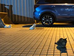 -上海市长宁区天山中医医院