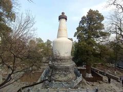 -大觉寺-停车场