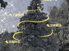 -武陵山森林公园