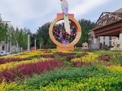 -南宫五洲植物乐园