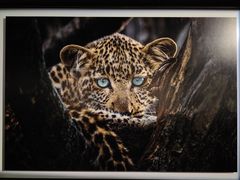 -罗红摄影艺术馆