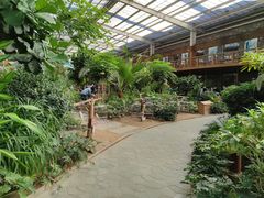 -南宫五洲植物乐园