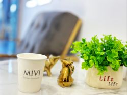 -MIVI野生眉纹绣纹眉