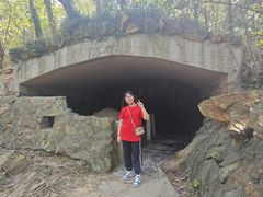 -上海佘山国家森林公园天马山园