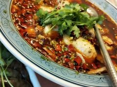 沸腾鱼-旭龙鱼头王(航华店)