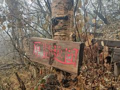 -白草畔自然风景区