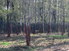 -秦皇岛野生动物园