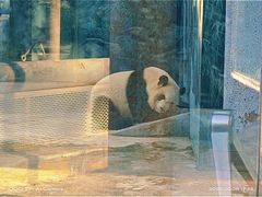 -鄂尔多斯野生动物园