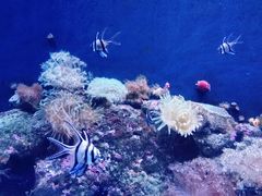 -成都浩海立方海洋公园