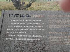 -汉长安城未央宫国家考古遗址公园