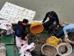 -胜海大排档·海鲜·黄鳝饭(十年老店)