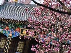 -护国法轮寺