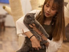 -袖虎·猫馆(体育西路店)