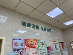 -瑞派天宁宠物医院·猫科·异宠中心