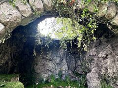 -上海鲜花港