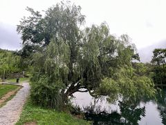 -花溪公园