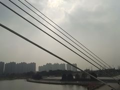 -映月湖中央公园