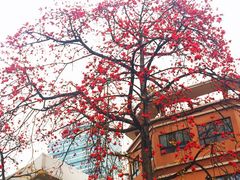 iphone_upload_pic-华南师范大学(广州大学城校区)
