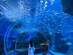 -海合安成都极地海洋公园