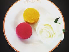 Angelina(IFC店)-Angelina(IFC)