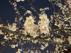 -安定门(地铁站)