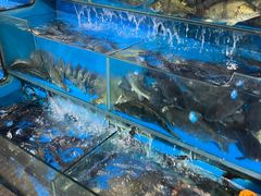 -盒马鲜生(馥邦国际店)