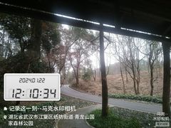 -青龙山国家森林公园