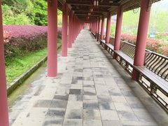 -冶父山国家森林公园
