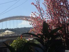 -百慕翡丽(南滨河东路店)