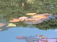 -香山公园