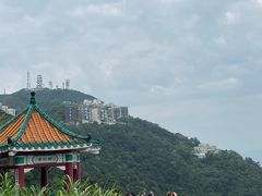 -太平山顶